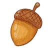 🌰