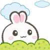 🐰