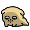 🐶