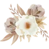 🌼