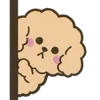 🐶