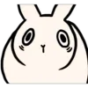 🐰