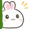 🐰