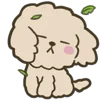 🍃