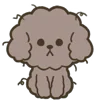 🐶