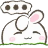 🐰