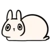 🐇