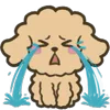😭