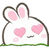 🐰