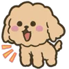 🐶