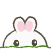 🐰