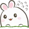 🐰