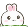 🐰