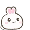 🐰