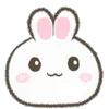🐰