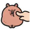👈