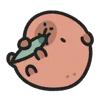 🐟