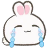 🐰
