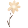 🌸