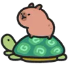 🐢