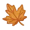 🍁