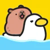 🐤