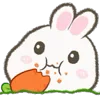 🐰