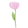 🌷