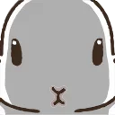 🐰