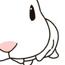 🐇