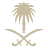 🇸🇦