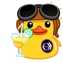 🐥
