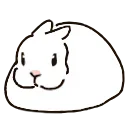 🐇