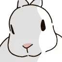 🐰
