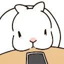 🐇
