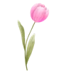 🎀
