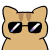 😎