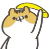🐱