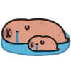 😭