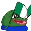 🇳🇬