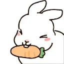 🥕