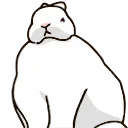 🐇