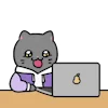 💻