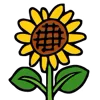 🌻