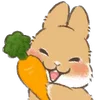 🥕