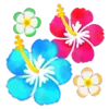 🌺
