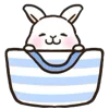 🐰