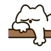 😴