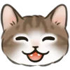 🐱