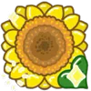 🌻